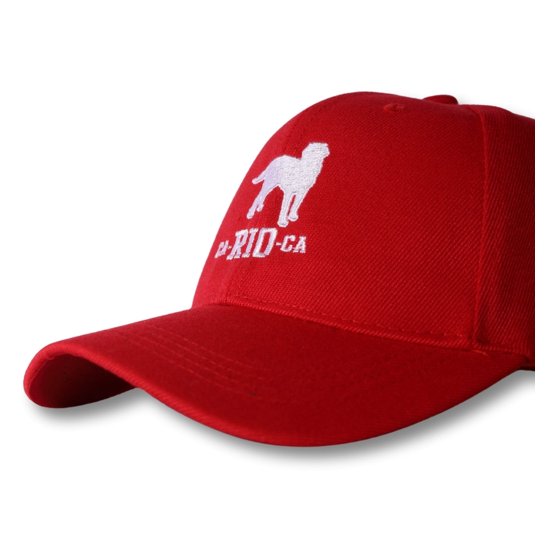 CA-RIO-CA Logo Embroidered Baseball Hat