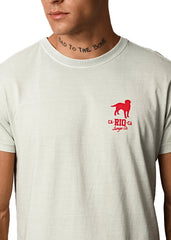 Person wearing a light gray t-shirt with a red logo on a white background