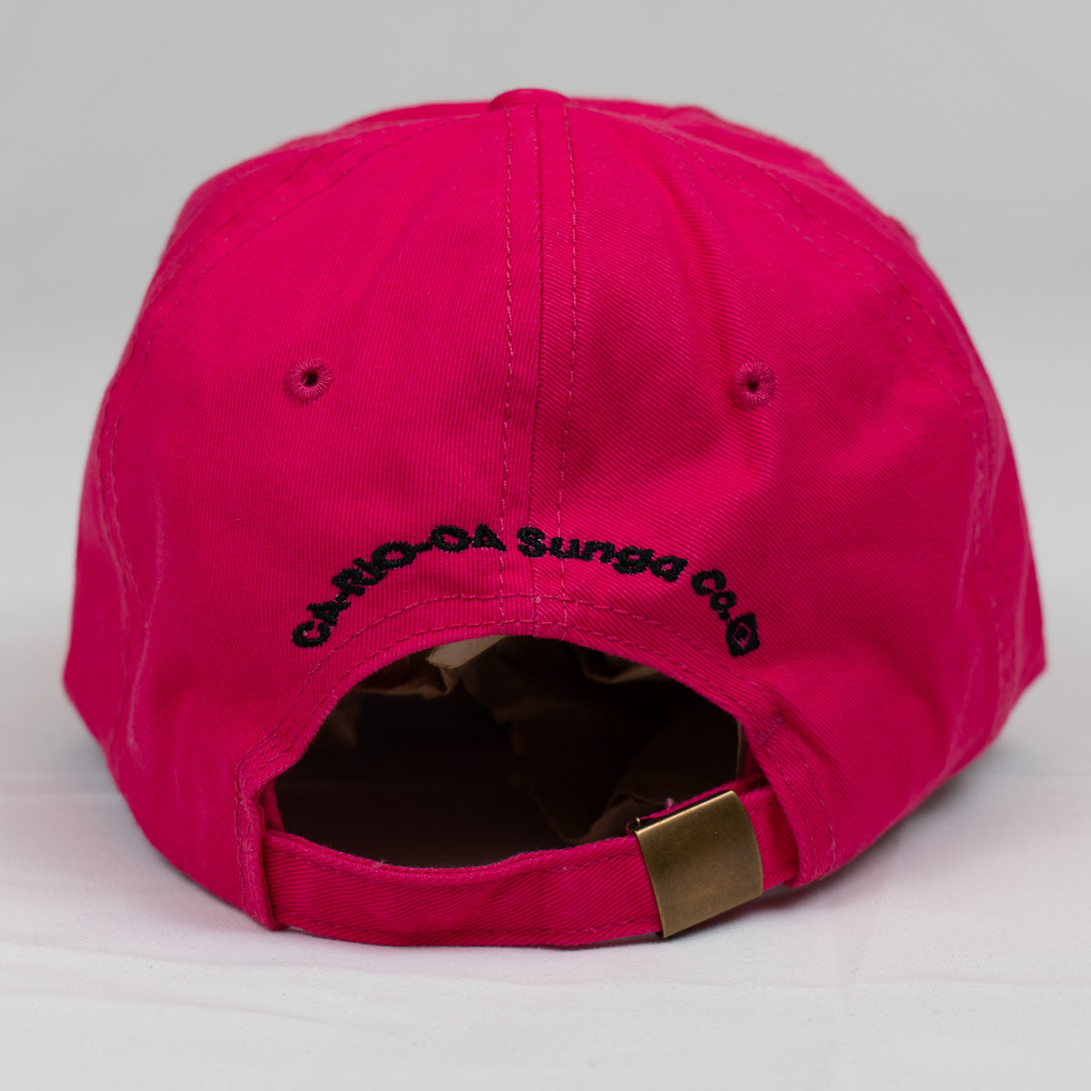 CA-RIO-CA Logotipo Chapéu Pai Pai Bordado - Boné Trucker Masculino - Várias Cores