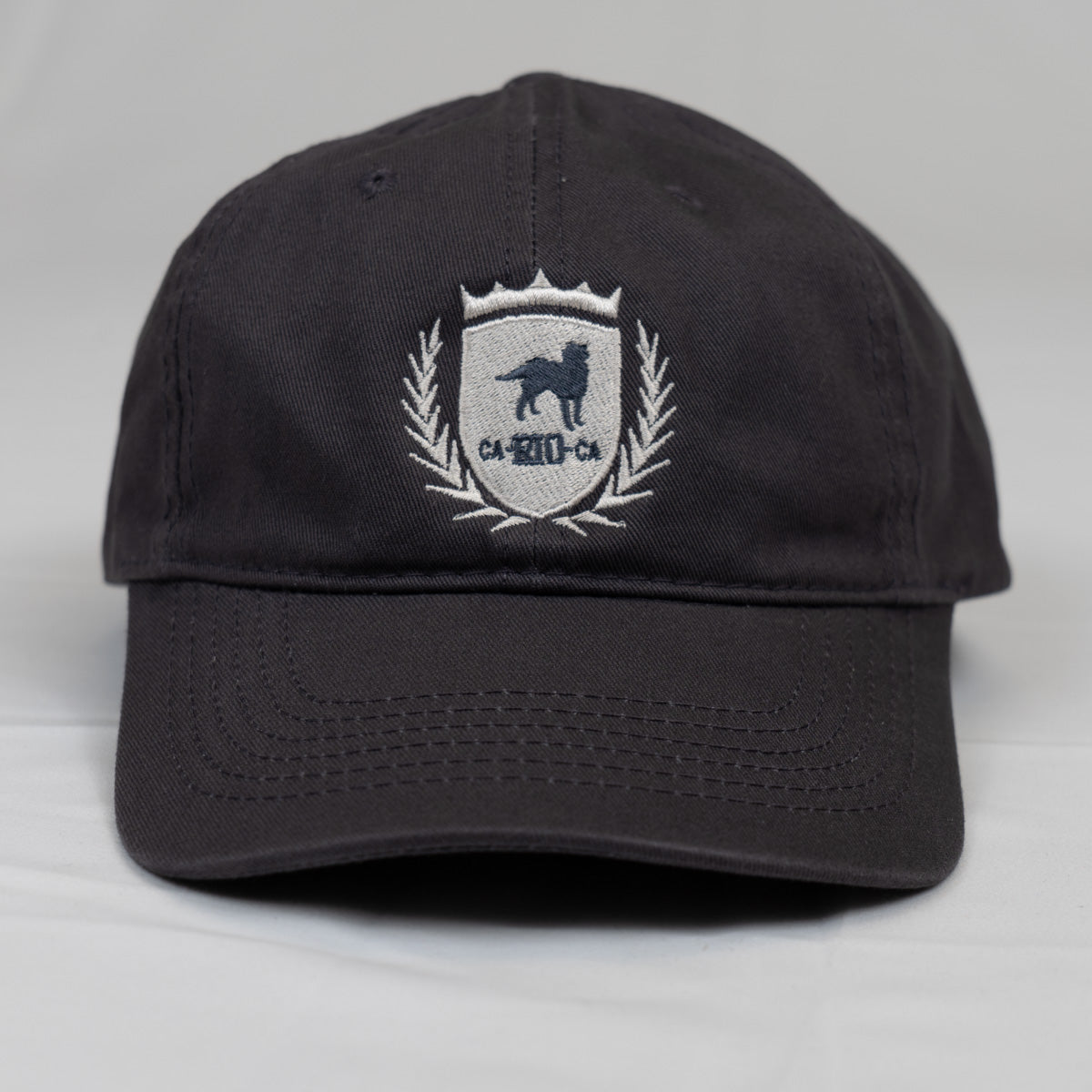 CA-RIO-CA Logotipo Chapéu Pai Pai Bordado - Boné Trucker Masculino - Várias Cores