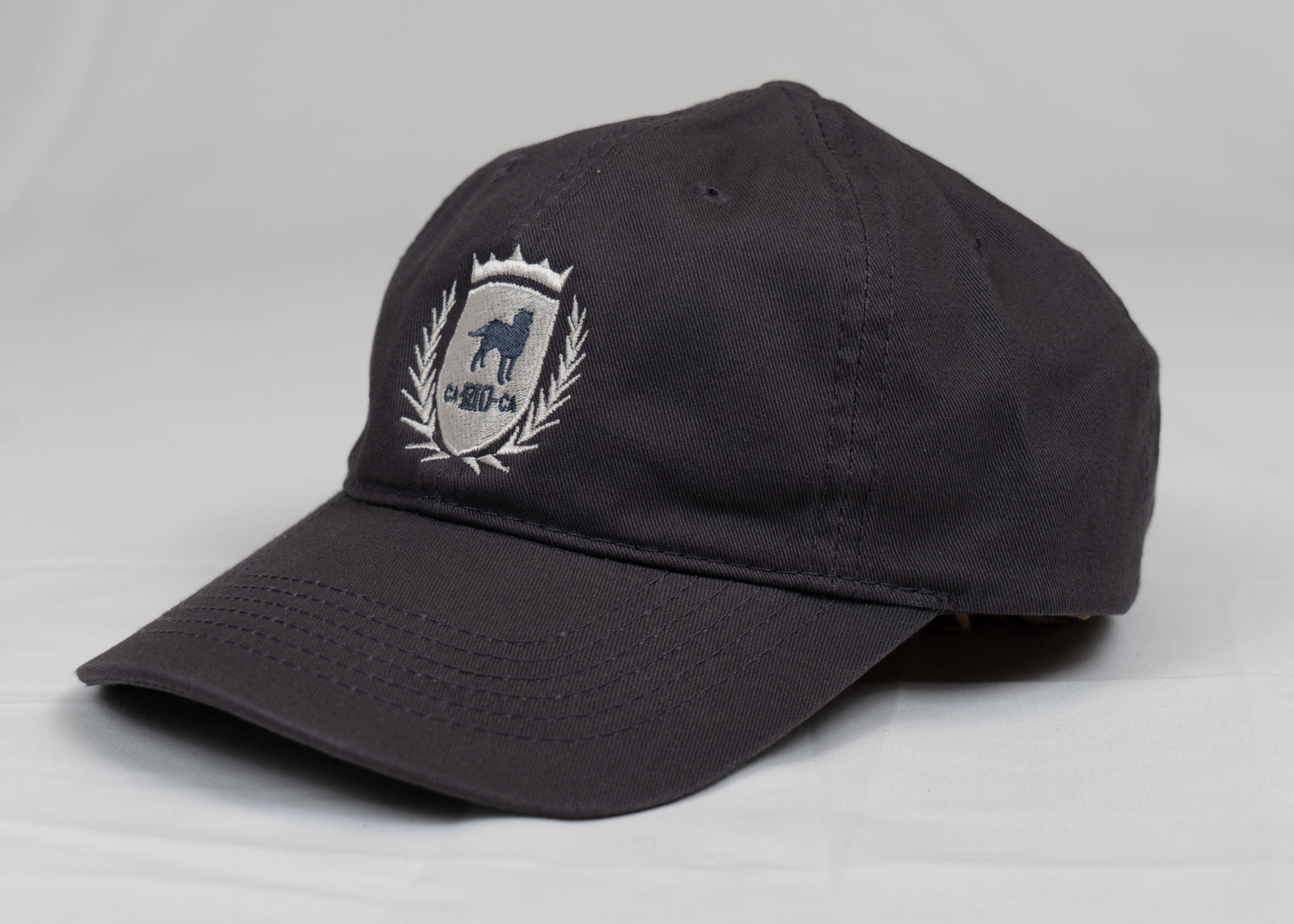 CA-RIO-CA Logotipo Chapéu Pai Pai Bordado - Boné Trucker Masculino - Várias Cores