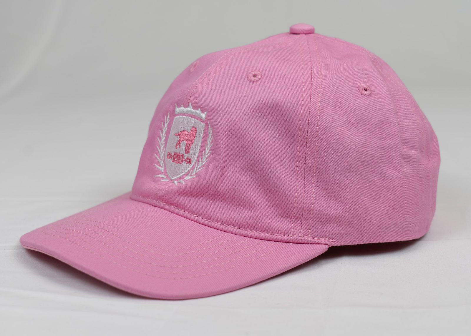 CA-RIO-CA Logotipo Chapéu Pai Pai Bordado - Boné Trucker Masculino - Várias Cores