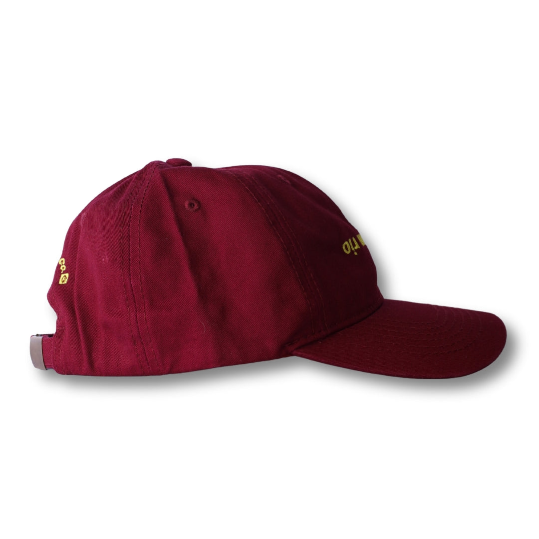 boy from rio - flip -  Dad Hat