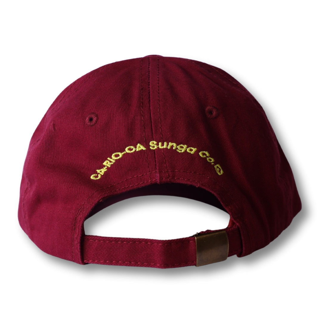 CA-RIO-CA Logotipo Chapéu Pai Pai Bordado - Boné Trucker Masculino - Várias Cores