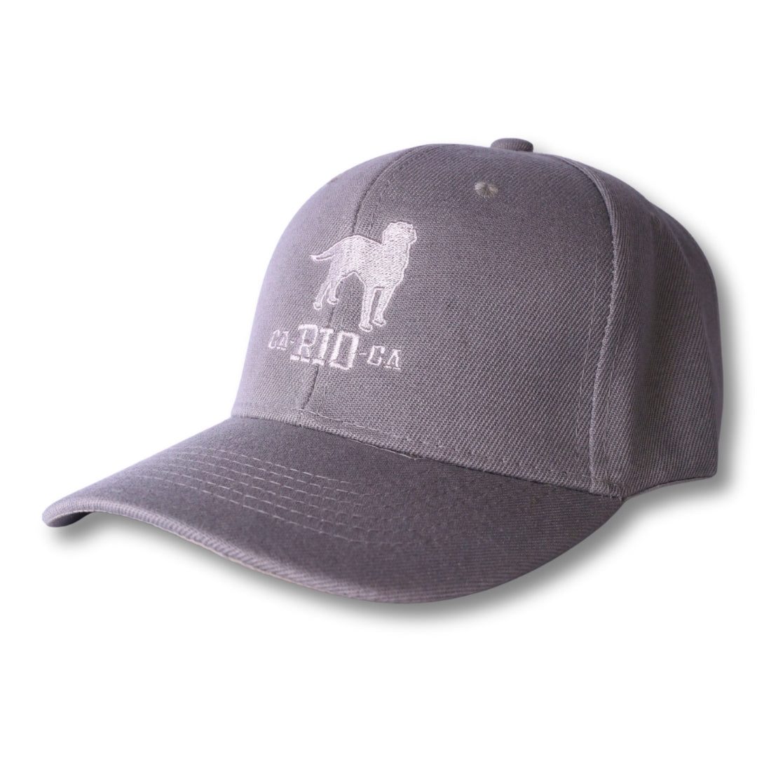 Gorra trucker bordada con rayas en negro y blanco de Gostoso Logotipo