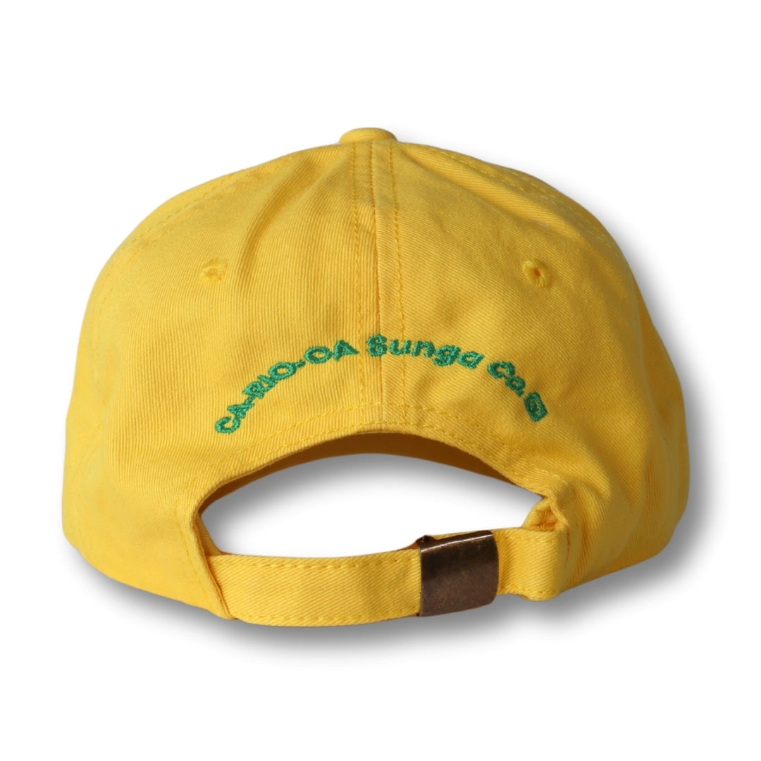 CA-RIO-CA Logotipo Chapéu Pai Pai Bordado - Boné Trucker Masculino - Várias Cores