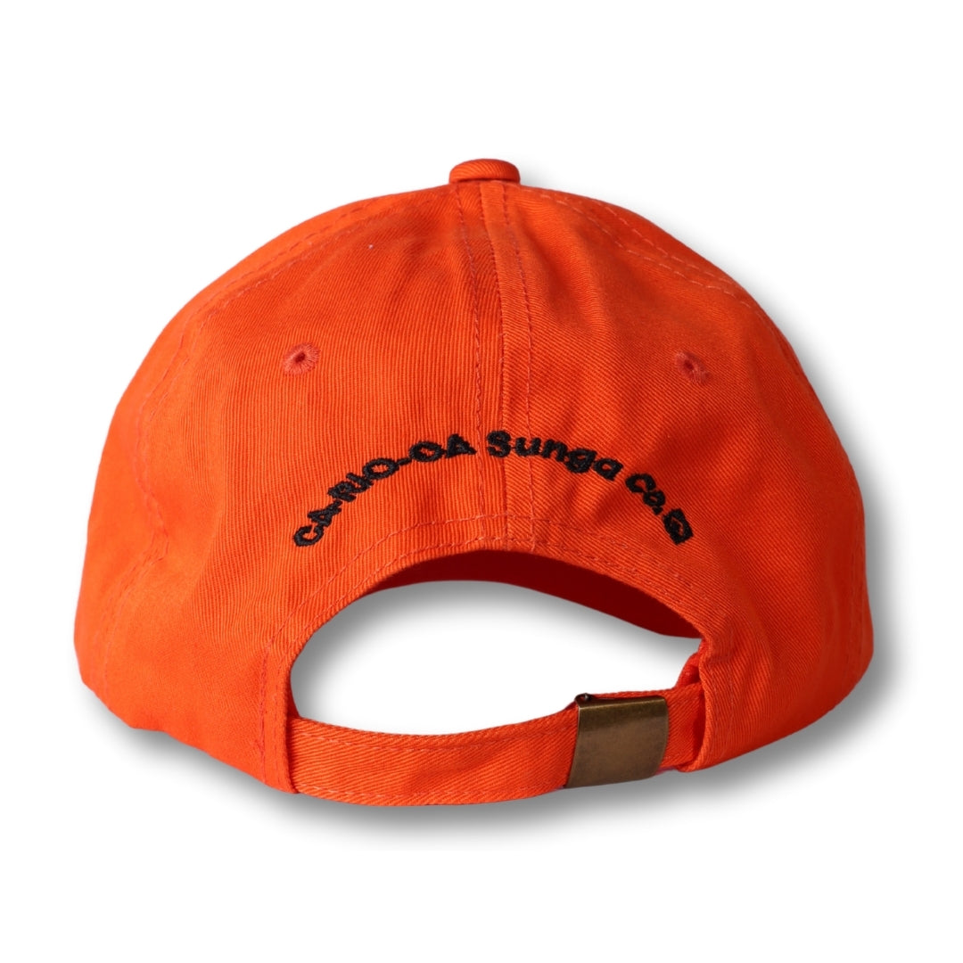 CA-RIO-CA Logotipo Chapéu Pai Pai Bordado - Boné Trucker Masculino - Várias Cores