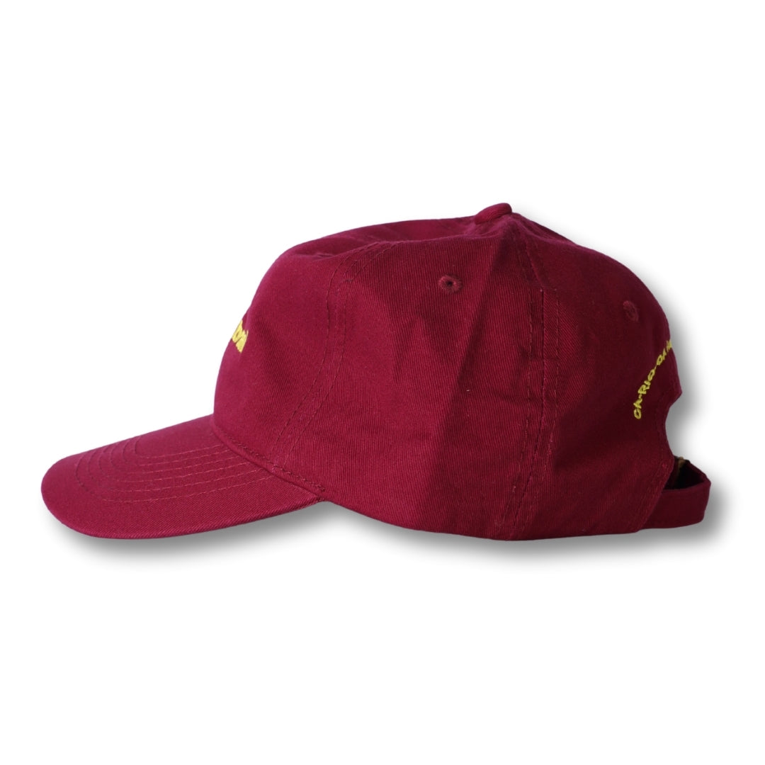 made in brasil -  Dad Hat