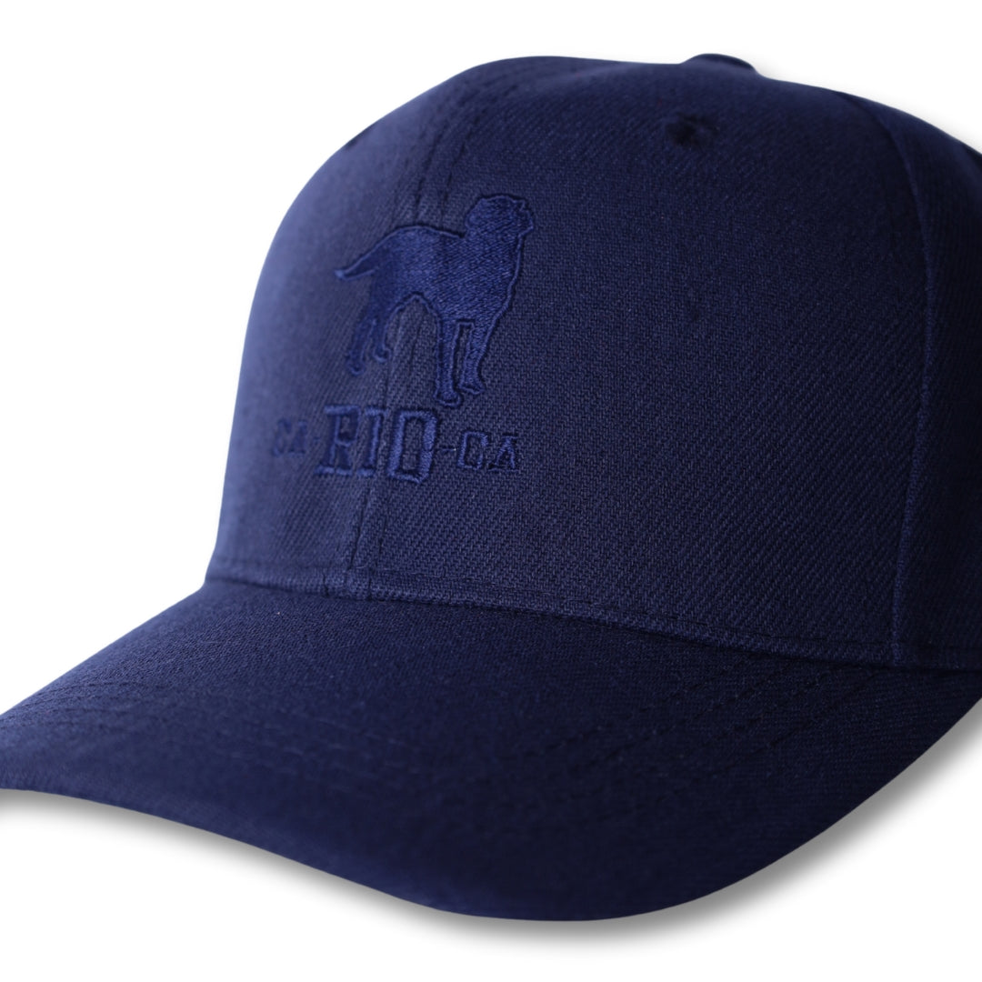 Gorra trucker bordada con rayas en negro y blanco de Gostoso Logotipo