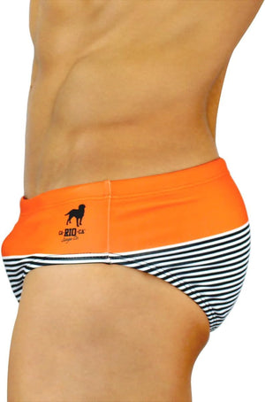 Gradient Stripes - Men's Designer Swimwear - CLEARANCE / FINAL SALES
