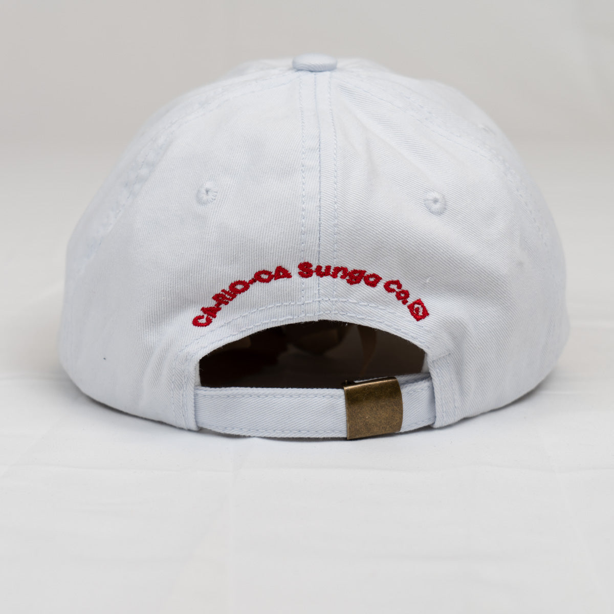 CA-RIO-CA Logotipo Chapéu Pai Pai Bordado - Boné Trucker Masculino - Várias Cores