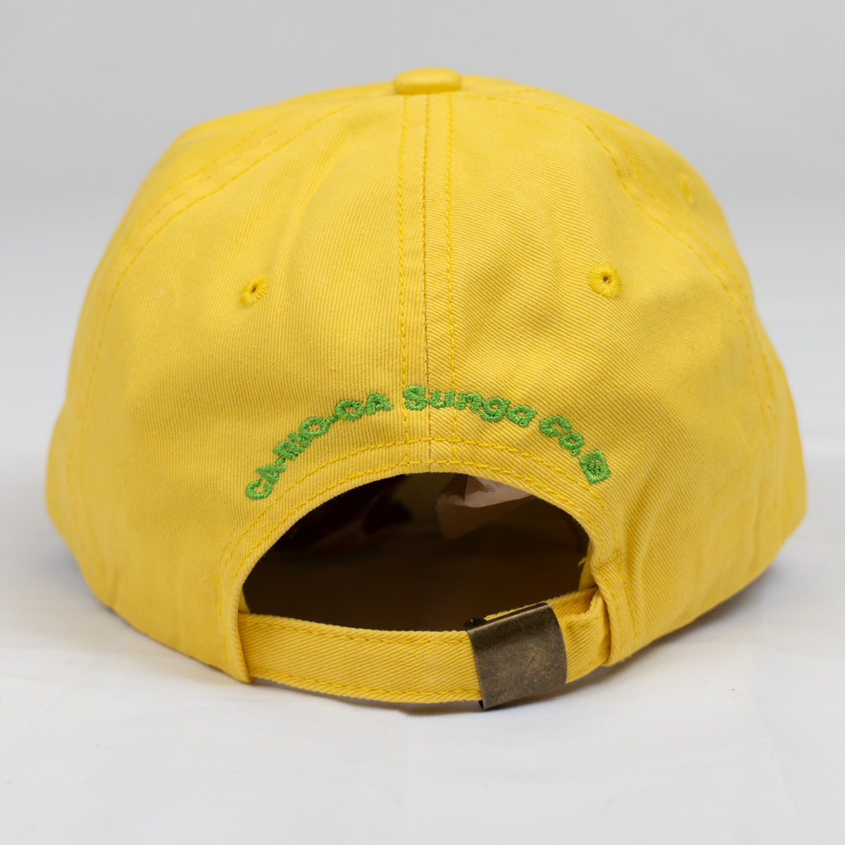 CA-RIO-CA Logotipo Chapéu Pai Pai Bordado - Boné Trucker Masculino - Várias Cores