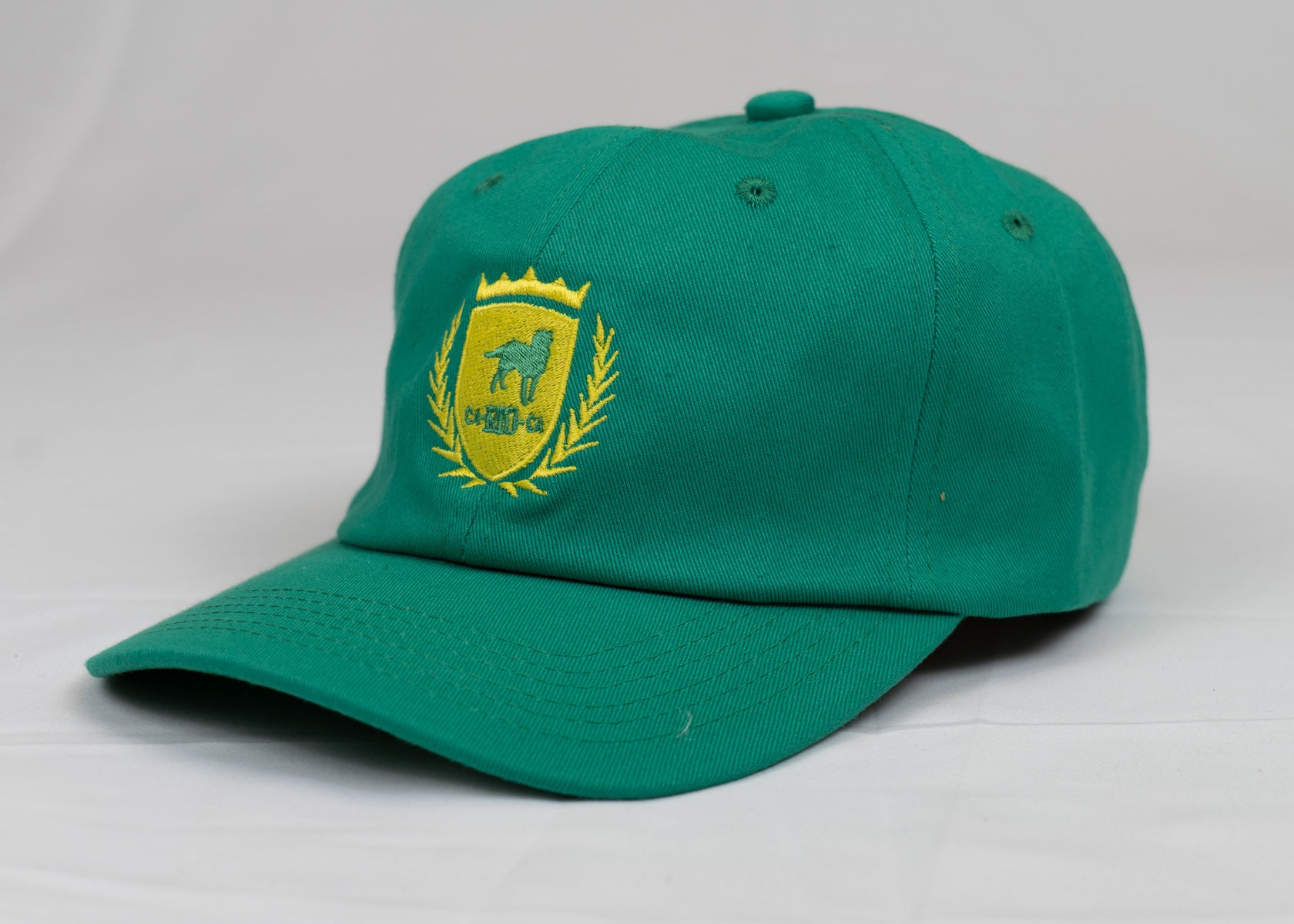 CA-RIO-CA Logotipo Chapéu Pai Pai Bordado - Boné Trucker Masculino - Várias Cores