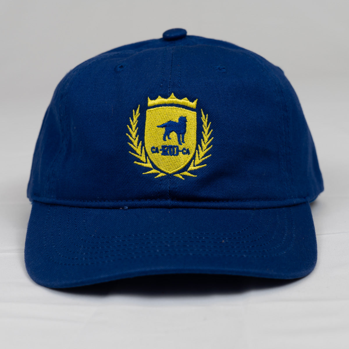 CA-RIO-CA Logotipo Bordado Diseñador Dad Hat - Gorra Trucker Hombre - Múltiples Colores