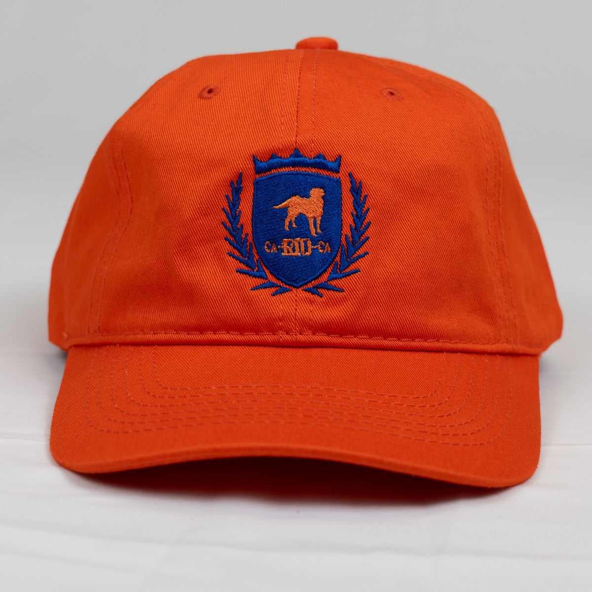 CA-RIO-CA Logotipo Chapéu Pai Pai Bordado - Boné Trucker Masculino - Várias Cores