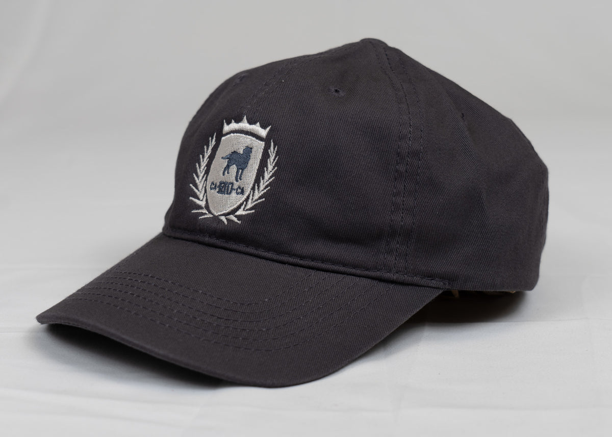 CA-RIO-CA Logotipo Chapéu Pai Pai Bordado - Boné Trucker Masculino - Várias Cores