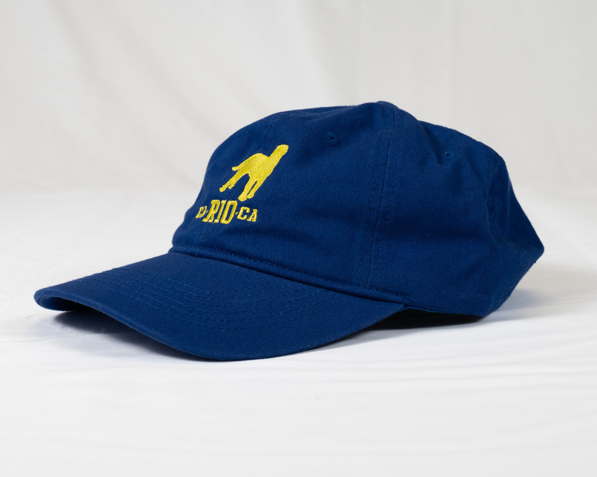 CA-RIO-CA Logo Embroidered Designer Dad Hat - Men's Baseball Cap - Multiple Colors