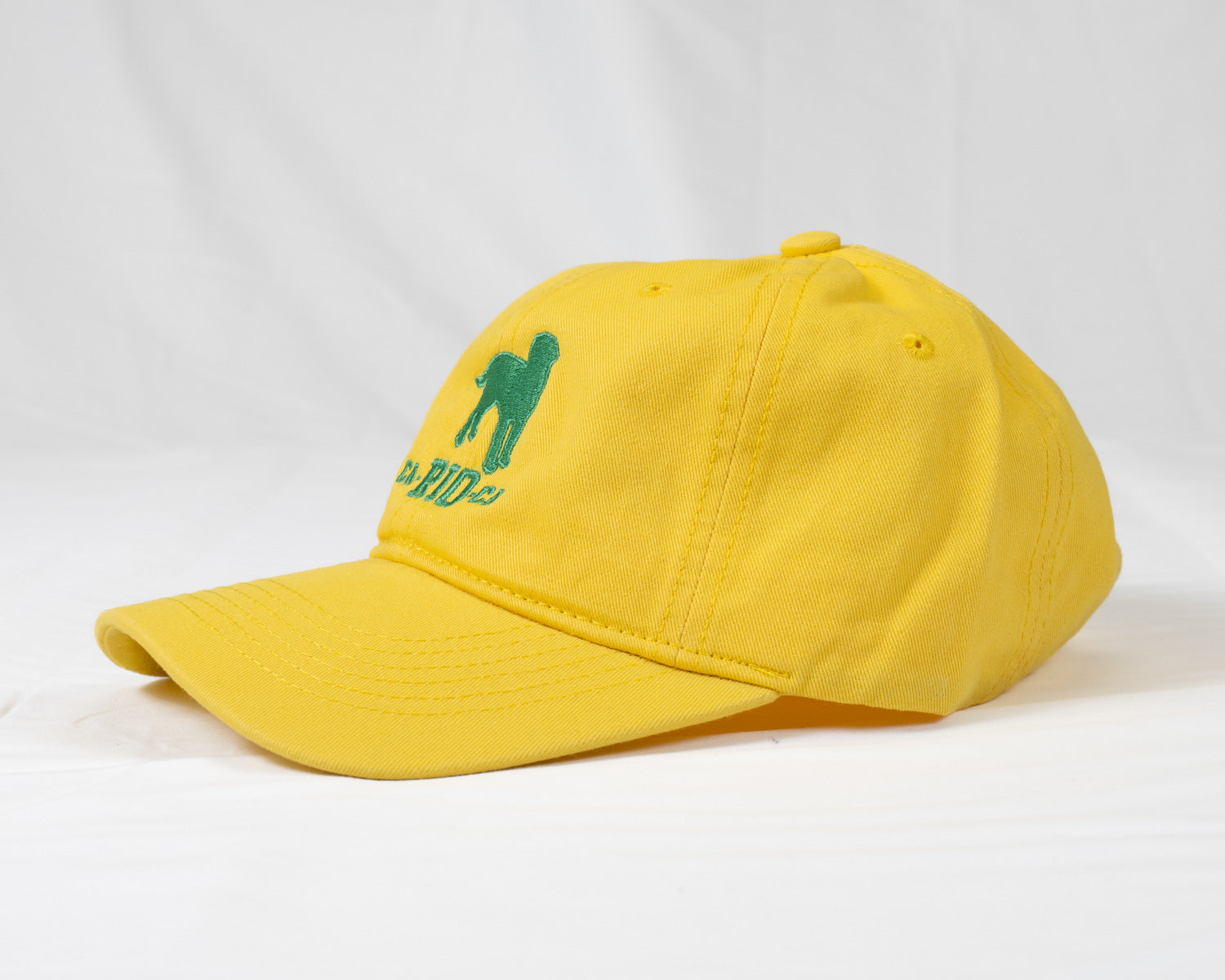 CA-RIO-CA Logotipo Bordado Diseñador Dad Hat - Gorra Trucker Hombre - Múltiples Colores