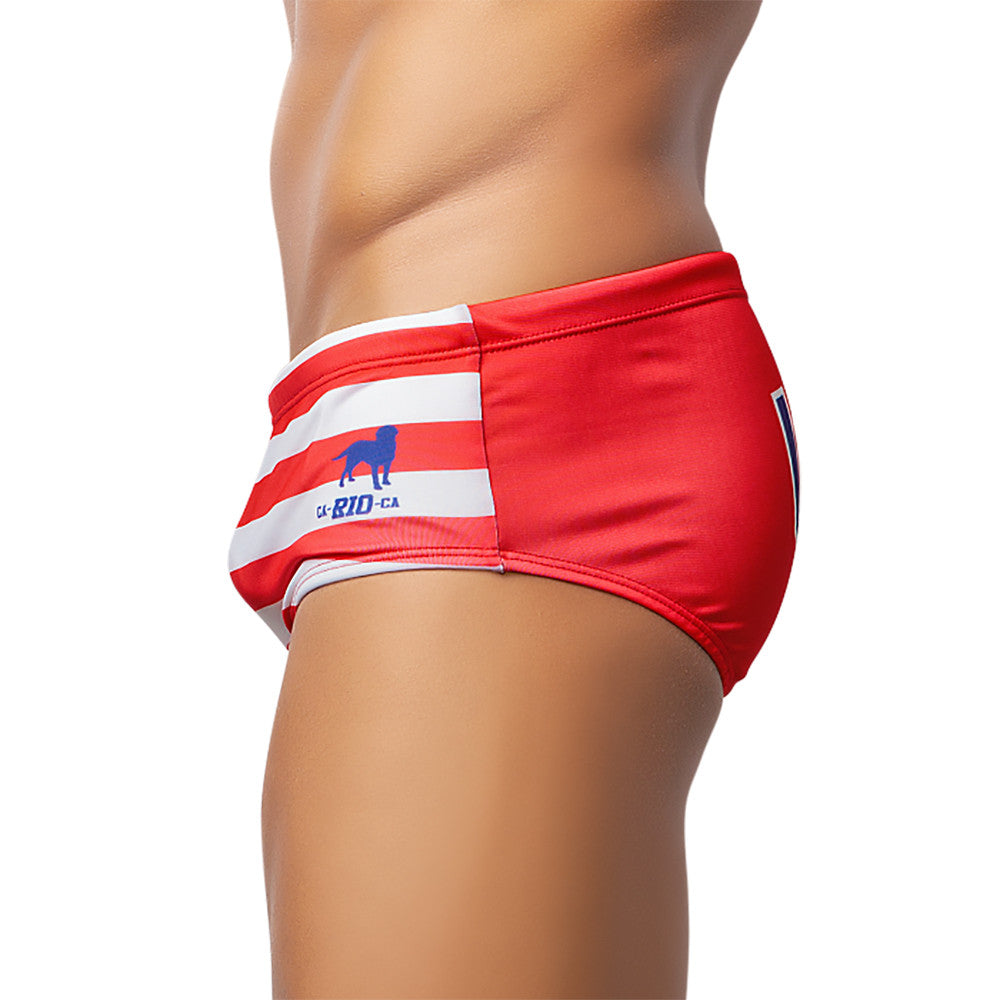 TEAM USA Flag  Print Sunga - Men's Swimming Wear